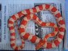 Guttatus hembra 05 -1.jpg