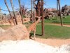 bioparc valencia 083.JPG