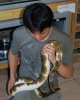 pidbald burmese python 1.jpg