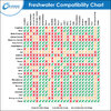 freshwater-fish-compatibility-chart.jpg