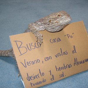 se busca redu.JPG