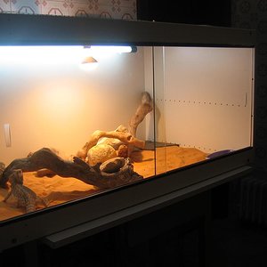 terrarium berria 2.JPG