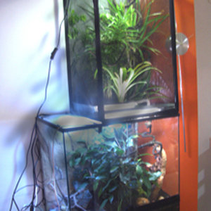 conjunto_terrario_flexarium.jpg