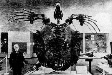 archelon.jpg