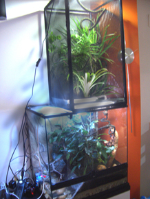 conjunto_terrario_flexarium.jpg