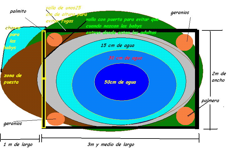 estanque campo futuro 2.GIF