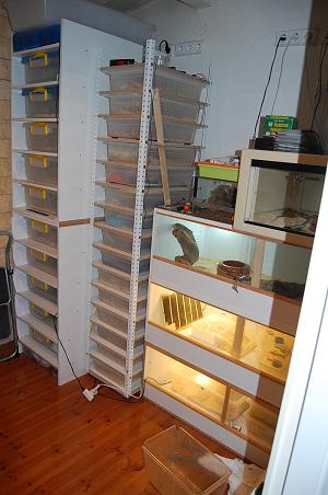 habitacion 2.jpg