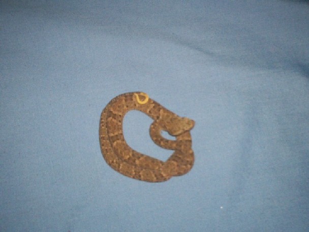 snake house 035.jpg