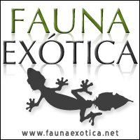 faunaexotica.net